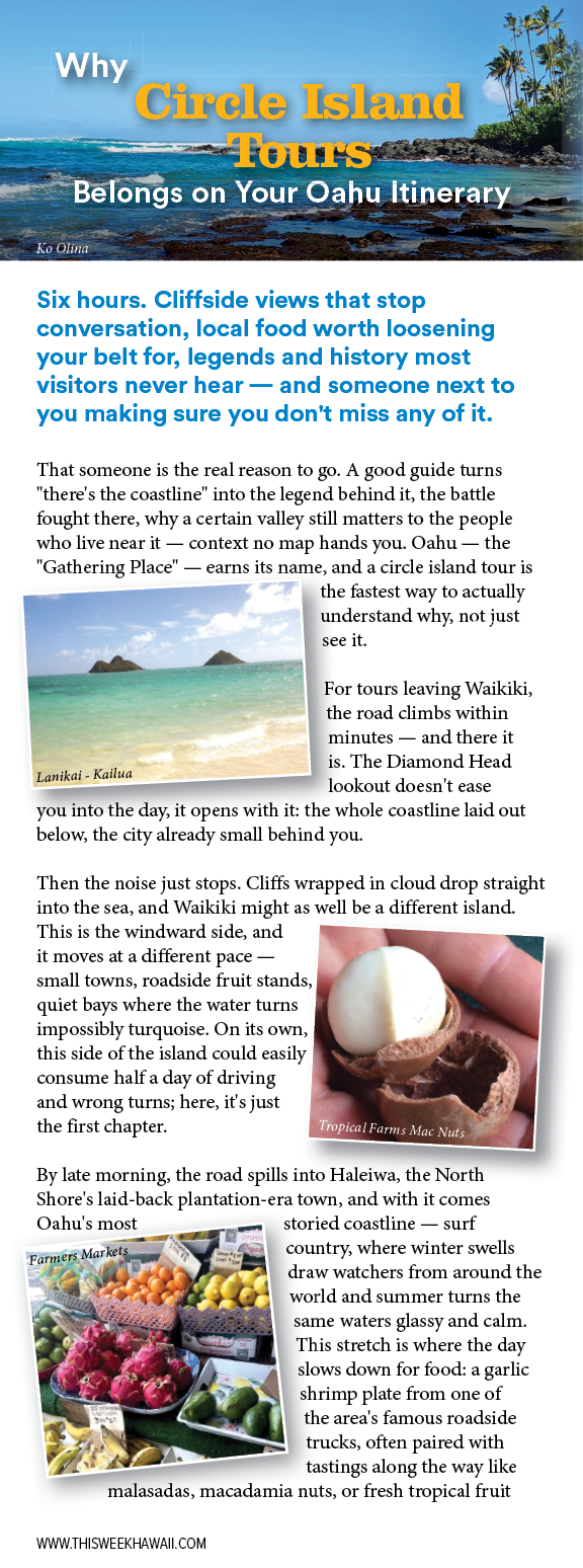 A flyer for an adventure tour company. Description generated by AI