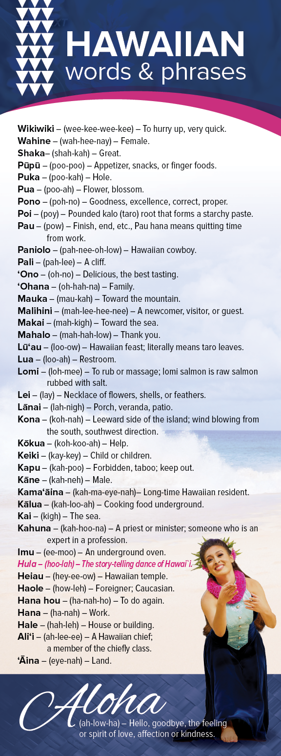 A brochure for the North Shore Experience. Description generated by AI