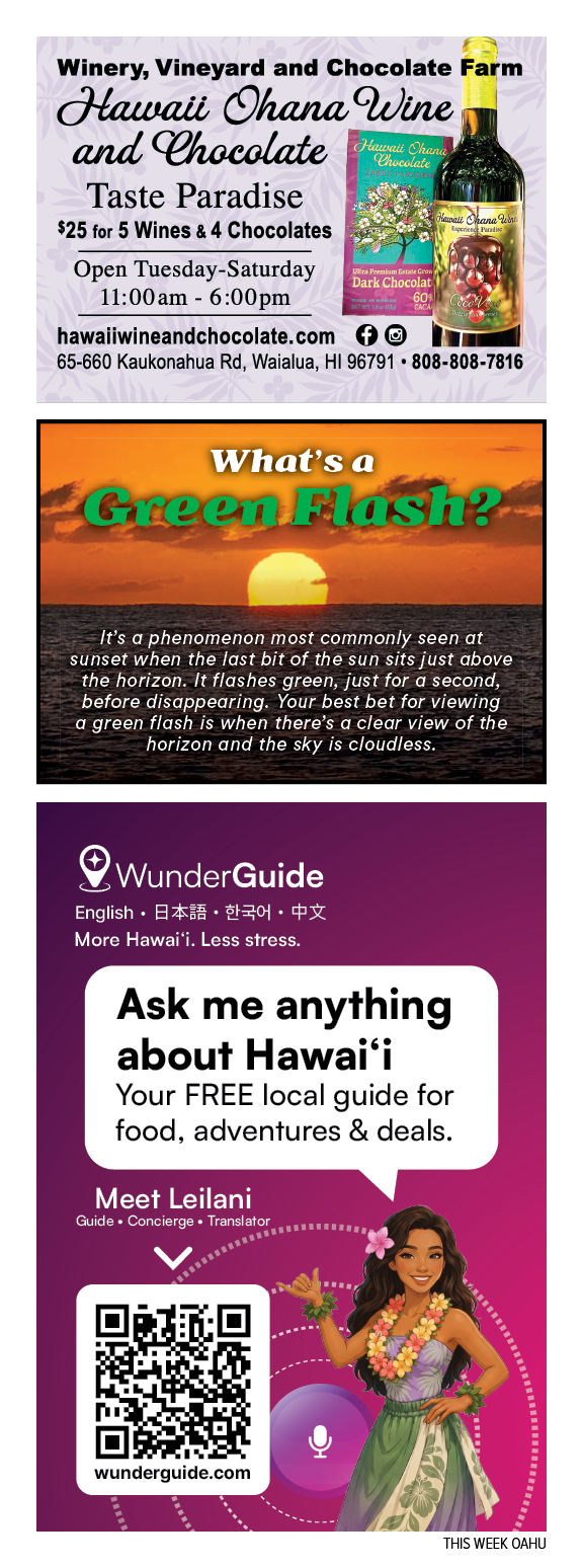 A flyer for a tour company. Description generated by AI