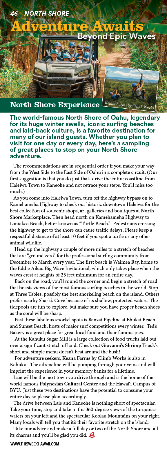 A brochure for North Shore Resort. Description generated by AI