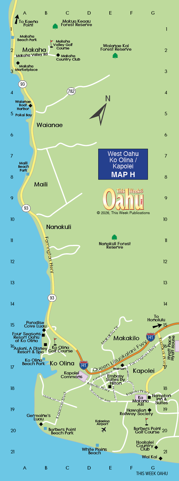 A map of the area around the beach. Description generated by AI