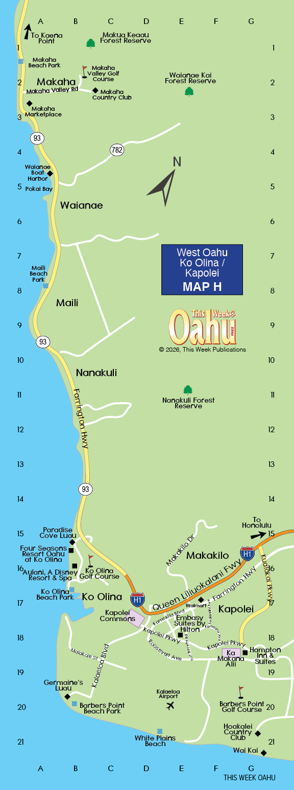 A map of the area around the beach. Description generated by AI