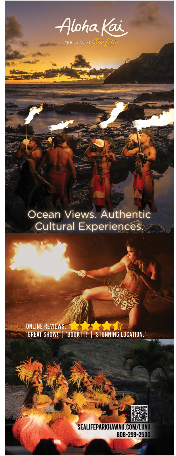 Three posters advertising Hawaiian experiences, including ocean views, cultural experiences, and hula dancing. AI generated content