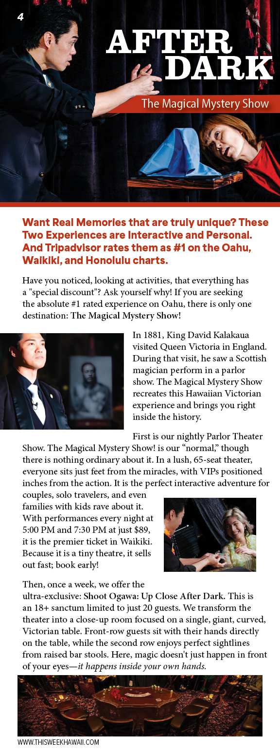 A brochure for a private tour of the island. Description generated by AI